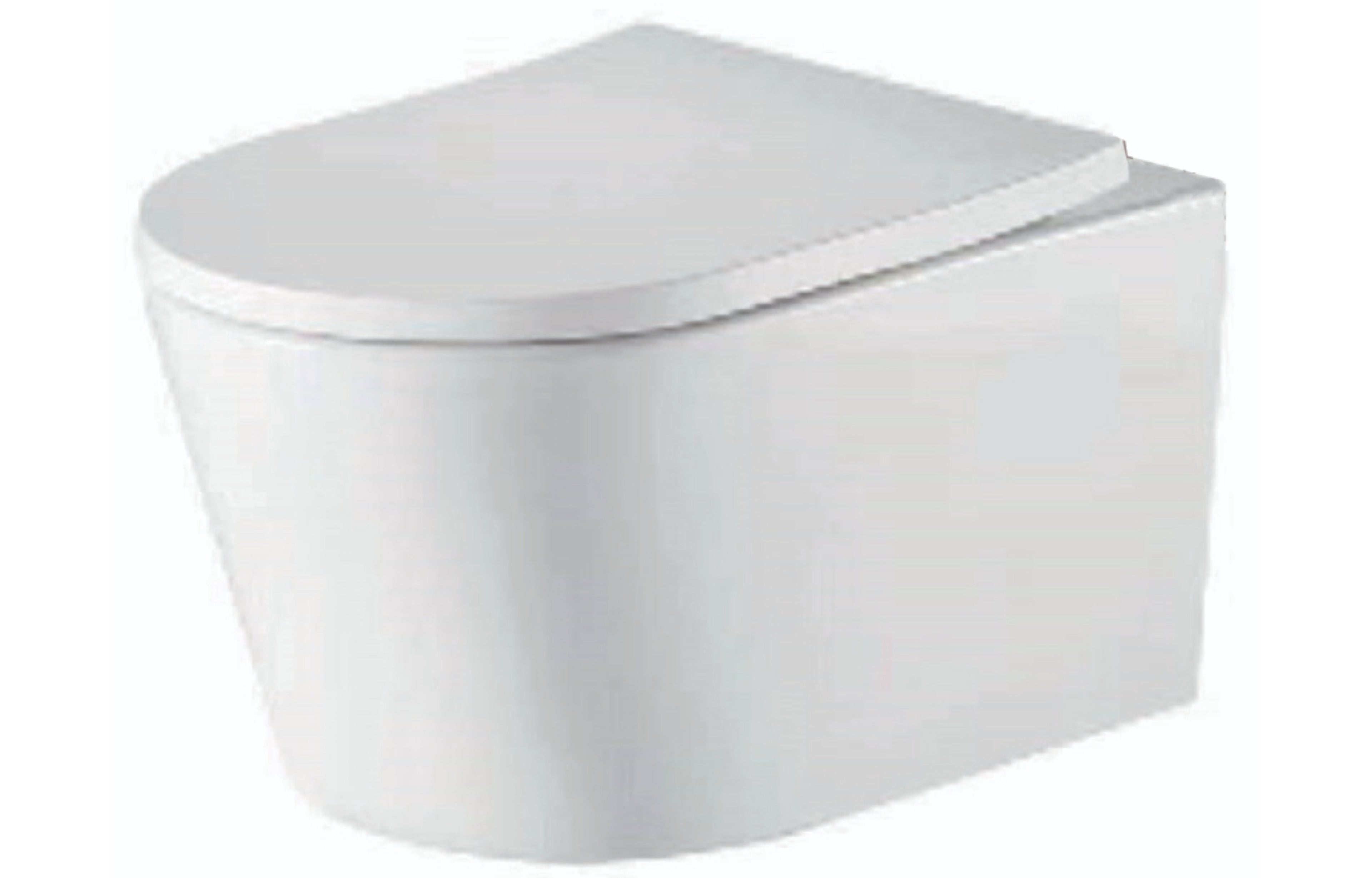 Flow Plus Wall Hung Rimless D Shape Pan Seat - Tailored Bathrooms